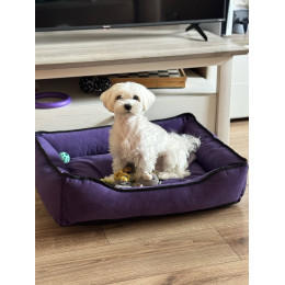 Брендирование лежанки для собак (нанесение логотипа компании / имени / фото)